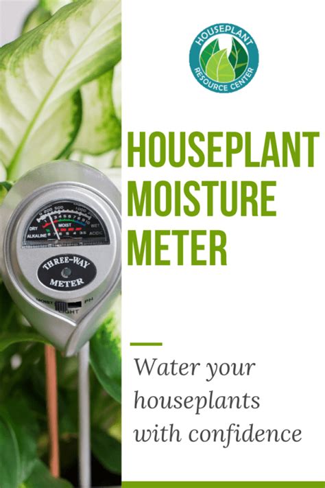 moisture meter rubber plant|moisture meter guide for houseplants.